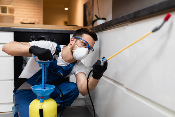  Shorewood, IL Pest Control Pros