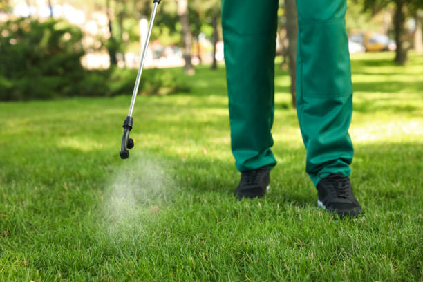 Best Exterminator Services  in Shorewood, IL