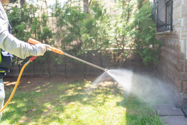 Best Pest Prevention Services  in Shorewood, IL