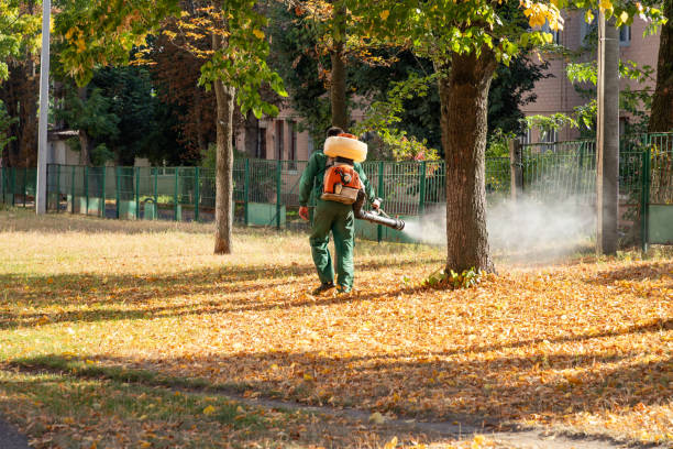 Best Spider Control Near Me  in Shorewood, IL
