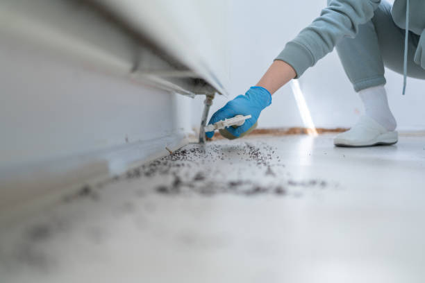 Best Residential Pest Control  in Shorewood, IL