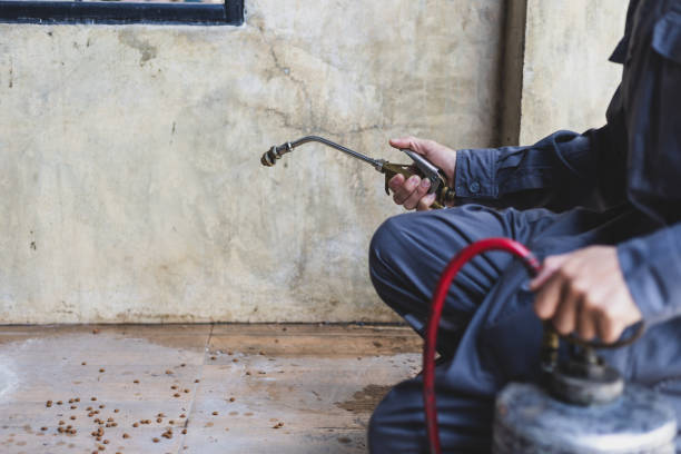 Best Best Pest Control Companies  in Shorewood, IL