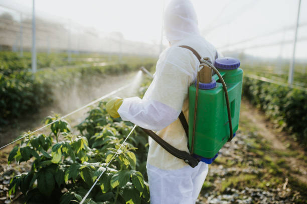 Best Mosquito Control Services  in Shorewood, IL